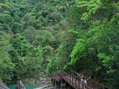 -广州白江湖森林公园