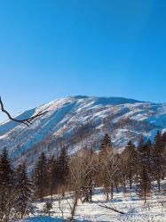 -大秃顶子山