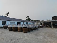 -苏州市吴中区光福窑上花果蜜饯厂