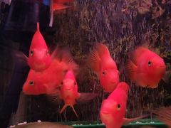 -SFC上影影城(杭州下沙IMAX店)