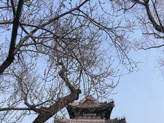 -颐和园