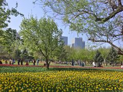 -长春公园(普阳街道)