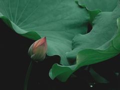 -四川大学(华西校区)