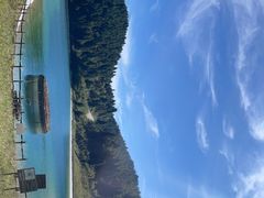 -武陵山森林公园