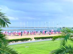 -碧海金沙