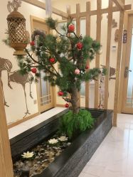 -芳朵美容养生SPA