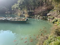 -灵栖洞天