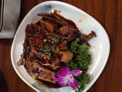 -小小饭店·休闲农庄·安吉松树林里的农家菜