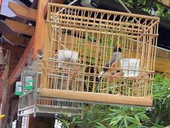 -砂唐居(总店)