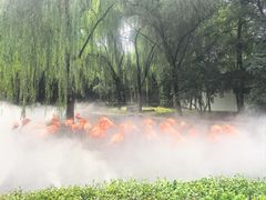 -石家庄市动物园