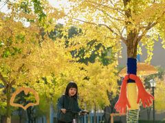 -福州大学(旗山校区)