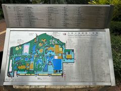 -九龙公园