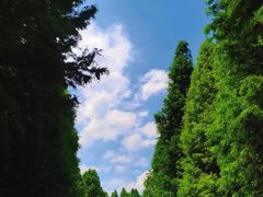 -捞渔河湿地公园
