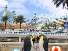 -帝企鹅自助餐厅•儿童岛•真企鹅(长隆企鹅酒店)