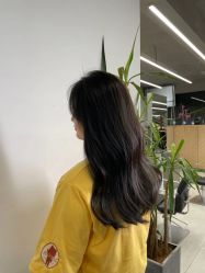 -Y-STUDIO原理