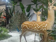 -三迪希尔顿酒店·星空酒廊