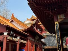 -深圳仙湖植物园