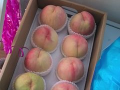 -南汇新场正宗水蜜桃采摘