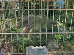 -自然谷恐龙园