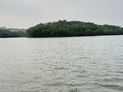 -三水森林公园
