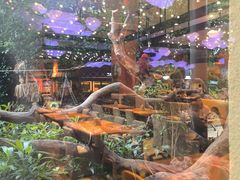 -美食小镇·观赏珍稀鸟类·长隆熊猫酒店