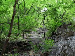 -北京上方山国家森林公园