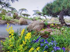 -罗红摄影艺术馆