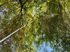 -酷鱼垂钓CLUB(朝阳区博大路店 )