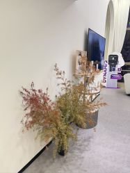 -JNK皮肤管理中心