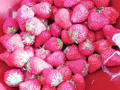 -众彩物流水产市场