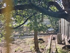 -丽泽山庄·生态怀柔菜·虹鳟鱼(红螺寺店)
