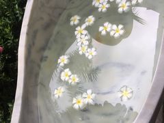 -100蛋泥浆浴