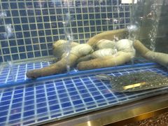 大堂-顺峰顺水顺德菜(龙华店)