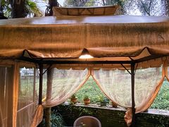 -野蔓果·山野菜(西湖景区·龙井茶田店)