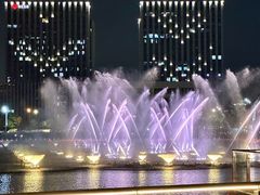 -金沙湖公园