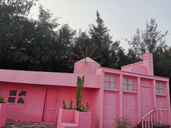 -北海金海湾红树林生态旅游区