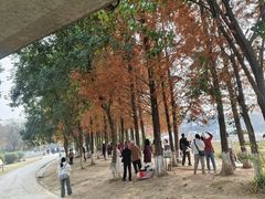 -白鹭湾湿地公园