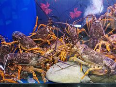 -渔洲情海鲜酒家