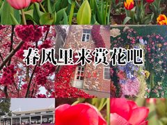 -花博汇(知音花月夜)
