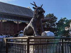 -颐和园