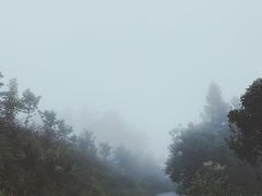 -重庆雨台山风景区