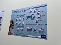 -天宠宠物医院24小时·急重症诊疗中心·全科·腔镜特色(和平分院)