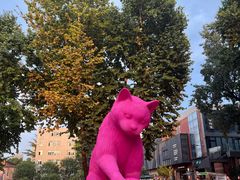 -西安电影制片厂