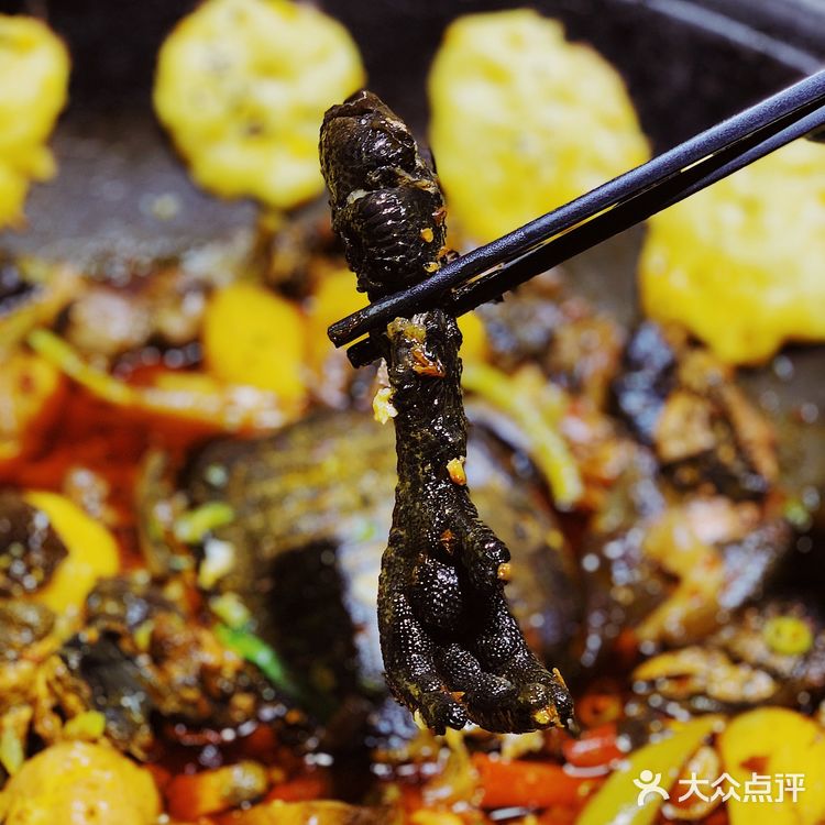 成都探店|赵亮老师请你来【御凤甲】吃柴火鸡❗