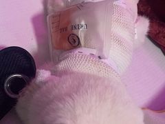 -关爱动物医院·心脏·中兽医·异宠(金牛路分院)