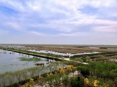 -南大港湿地风景区