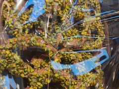 -习喜面包(天润广场店)