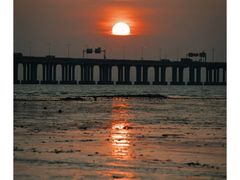 -宝安西湾红树林湿地公园