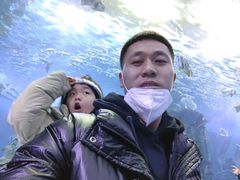 -哈尔滨波塞冬海底世界