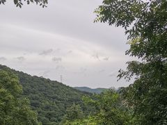 -桃花岭景区